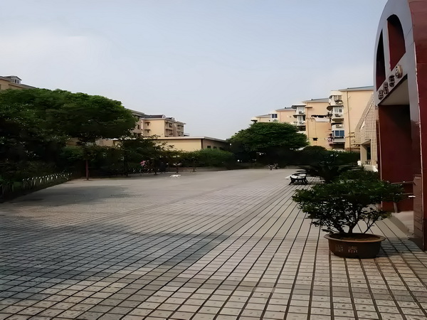 轻罗小扇